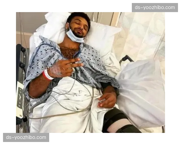 国王穆雷脚踝扭伤恢复中 两周后将接受重新评估